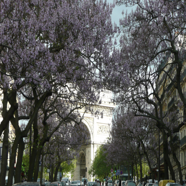 Offres de vente Appartement Paris 75017