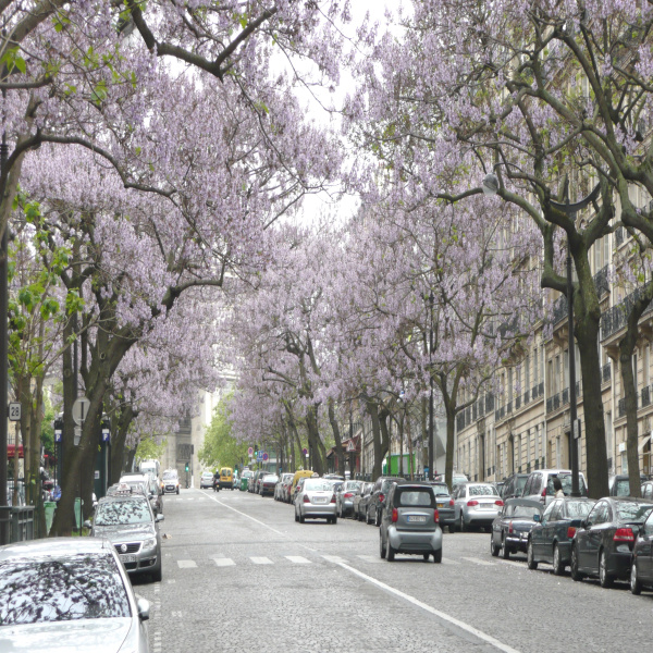 Offres de vente Appartement Paris 75017